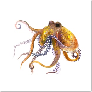 Octopus, Yellow Orange home decor Posters and Art